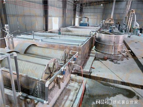 紅薯淀粉加工全流程與關鍵參數解析 從設備選型到出粉率優(yōu)化